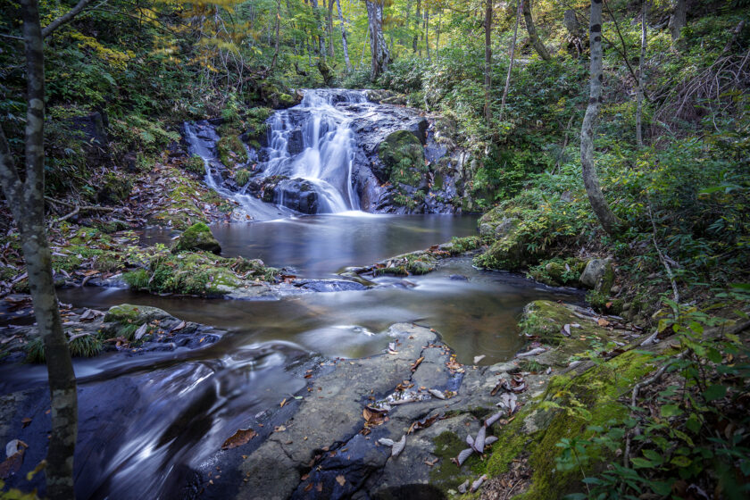 ウォーターサーバーの選び方とは？重視すべきポイントやおいしい水の種類もご紹介