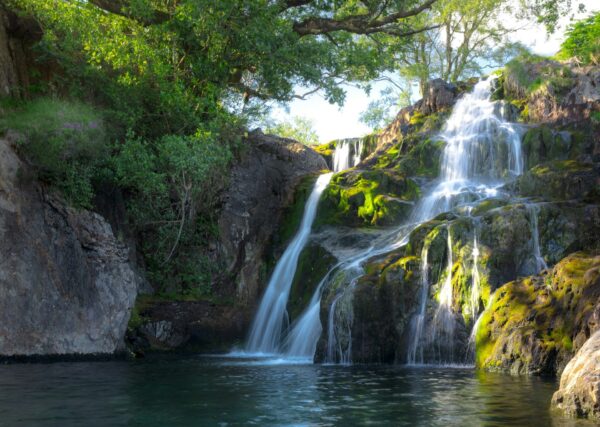 サントリー天然水宅配サービスが終了とマーキュロップ乗り換えキャンペーンもご案内